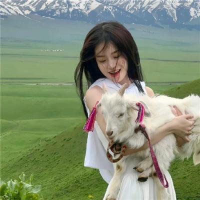 泡芙小姐第二季
